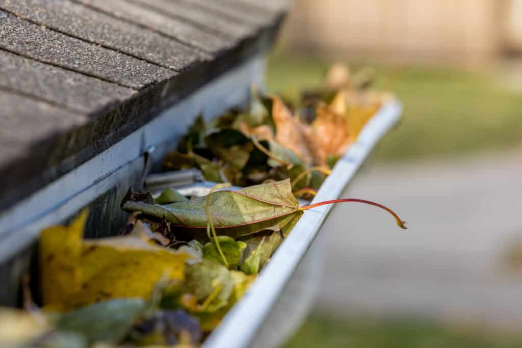 nh roofers